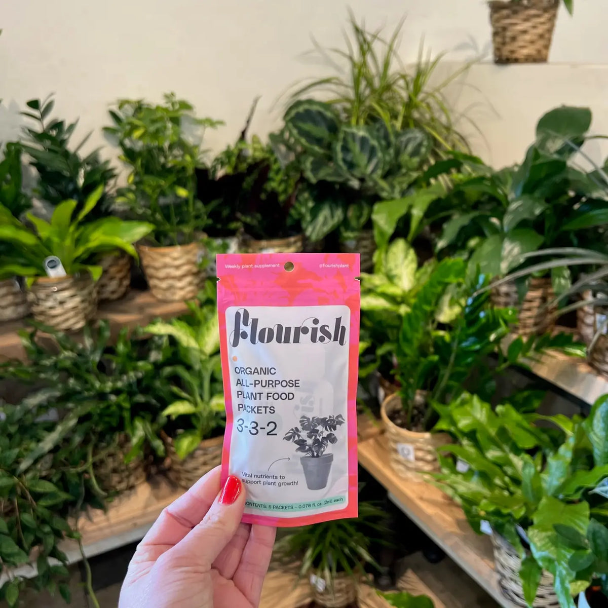 flourish plant fertilizer Flourish Houseplant Food