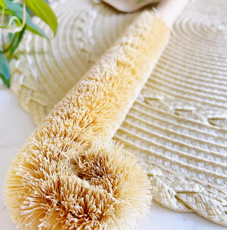 Coconut Bottle Cleaning Brush
