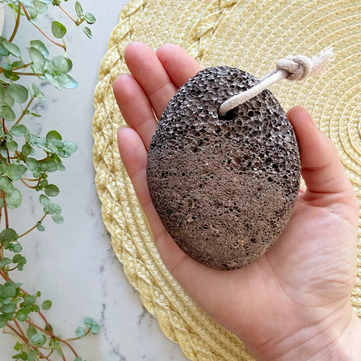 Lava Pumice Stone – ROOT and SPLENDOR