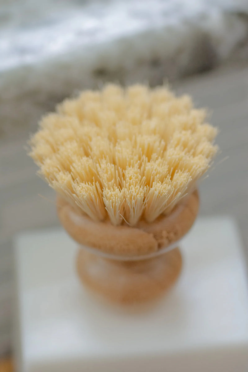 Dish Washing Brush – ROOT and SPLENDOR