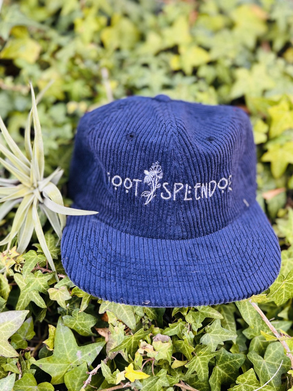 Root and Splendor Embroidered Hat