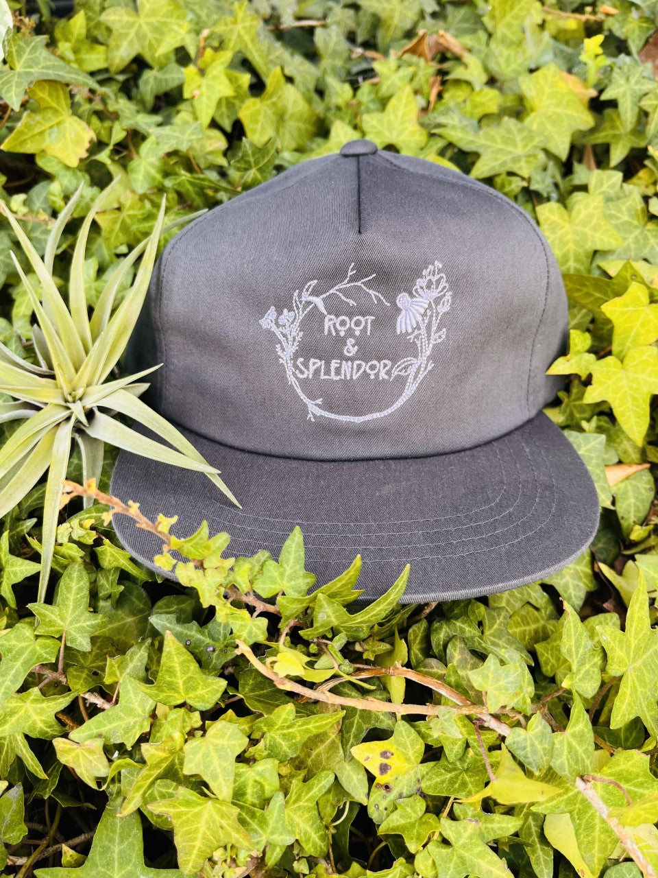 Root and Splendor Embroidered Hat