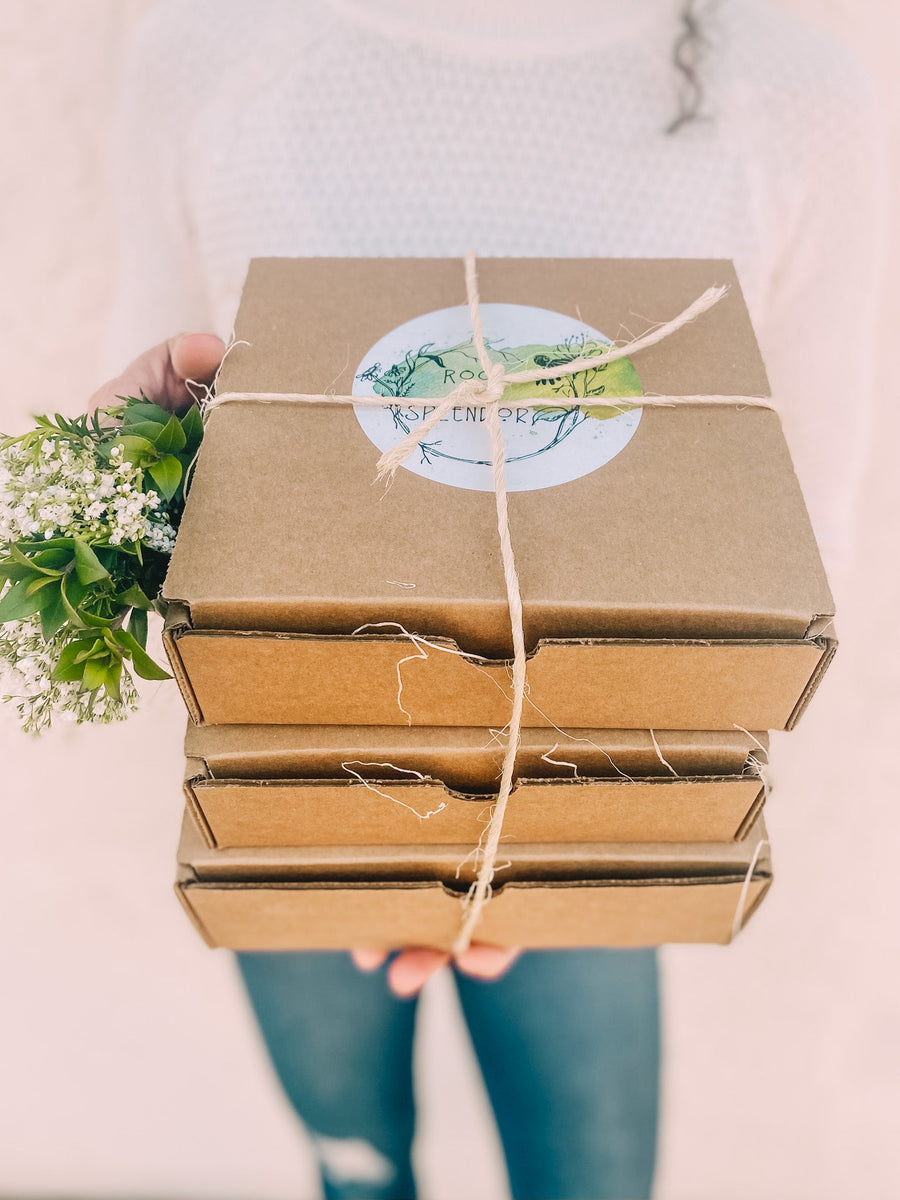 Gifts of Splendor – ROOT and SPLENDOR