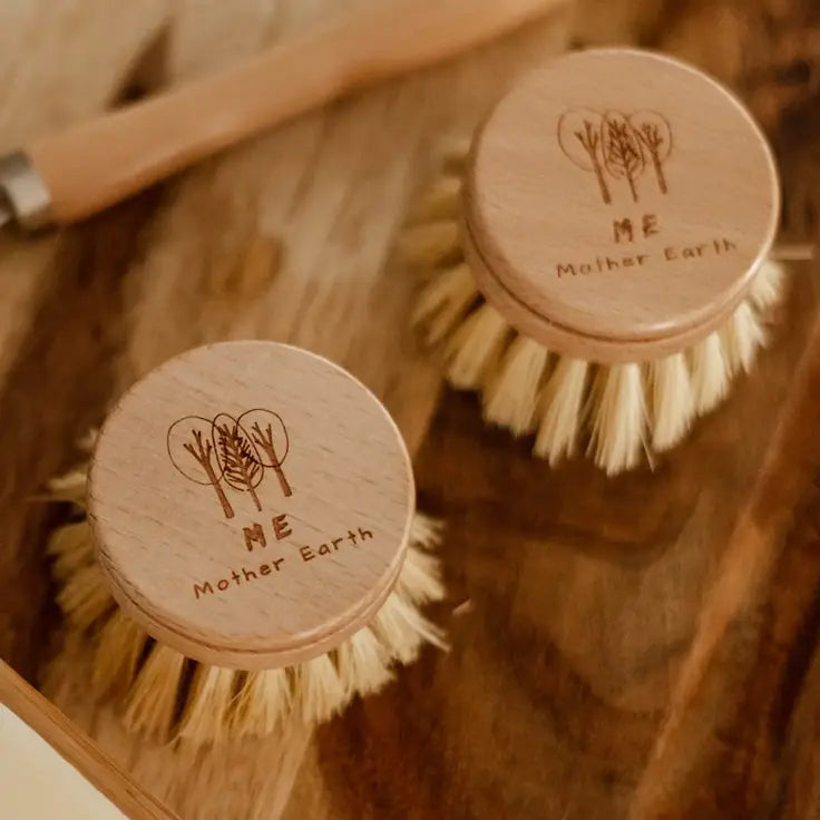 Long Handle Dish Brush with Replaceable Head