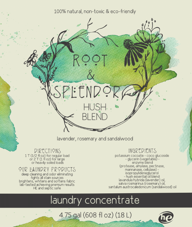 Laundry Concentrate (64 loads) with Bamboo Measuring Cup – ROOT and SPLENDOR
