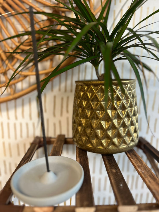 incense in plant pots Concrete Incense Burner/Holder