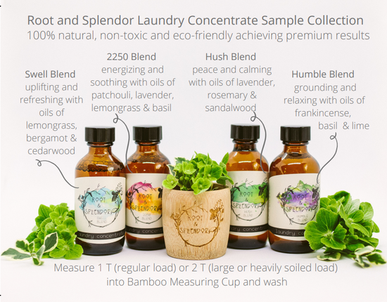 Load image into Gallery viewer, Laundry Soap and Stain Remover Travel &amp;amp; Gift Set
