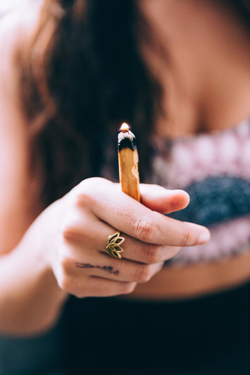 Splendor Stick Palo Santo Stick Bundle – ROOT and SPLENDOR