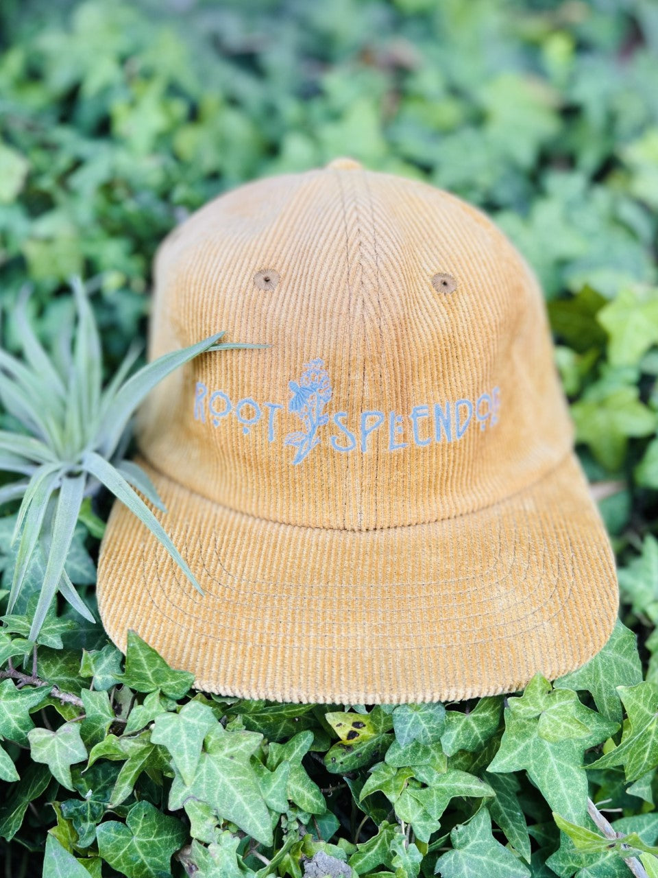 Root and Splendor Embroidered Hat