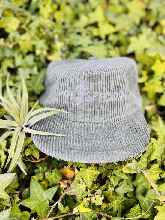 Root and Splendor Embroidered Hat