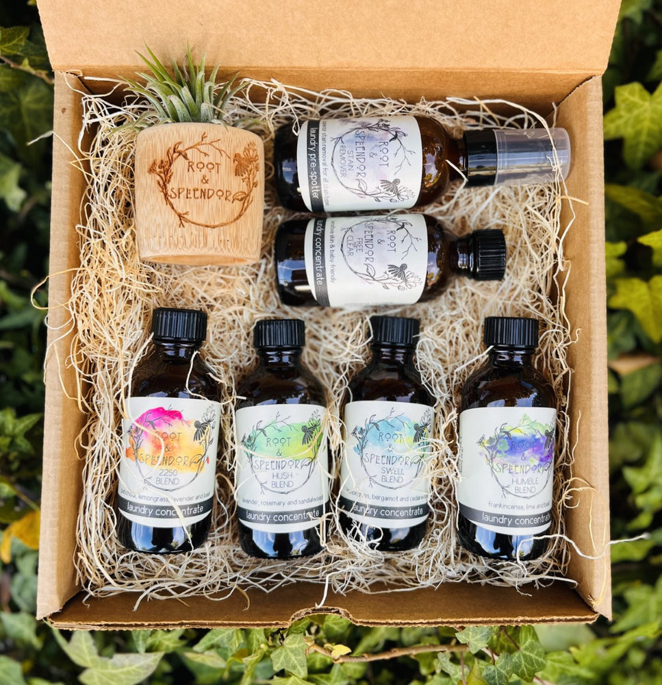 Laundry Soap and Stain Remover Travel & Gift Set