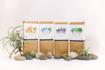 Laundry Soap for a Year Bundle