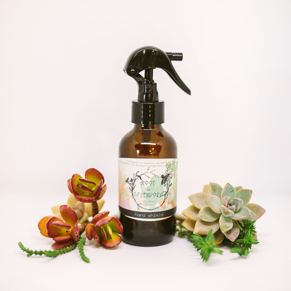 Shield Travel and Gift Set