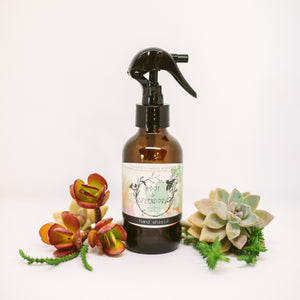 Shield Travel and Gift Set